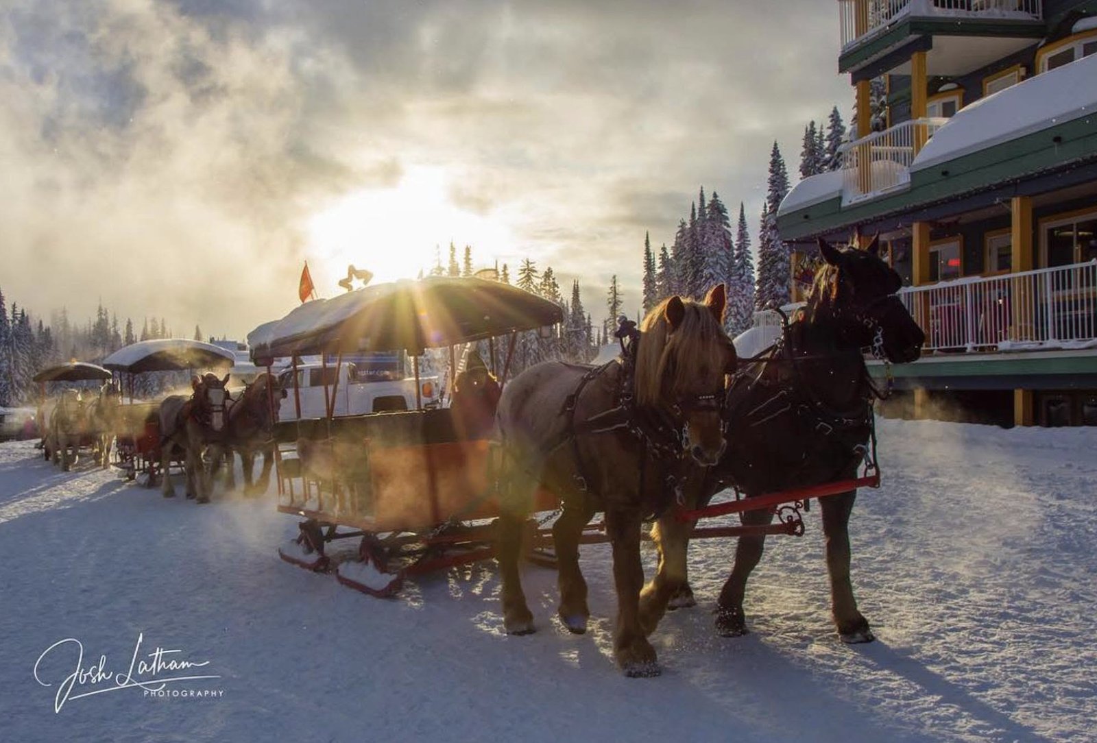 Cathy's sleigh teams at Silver Star Mountain Resort in winter