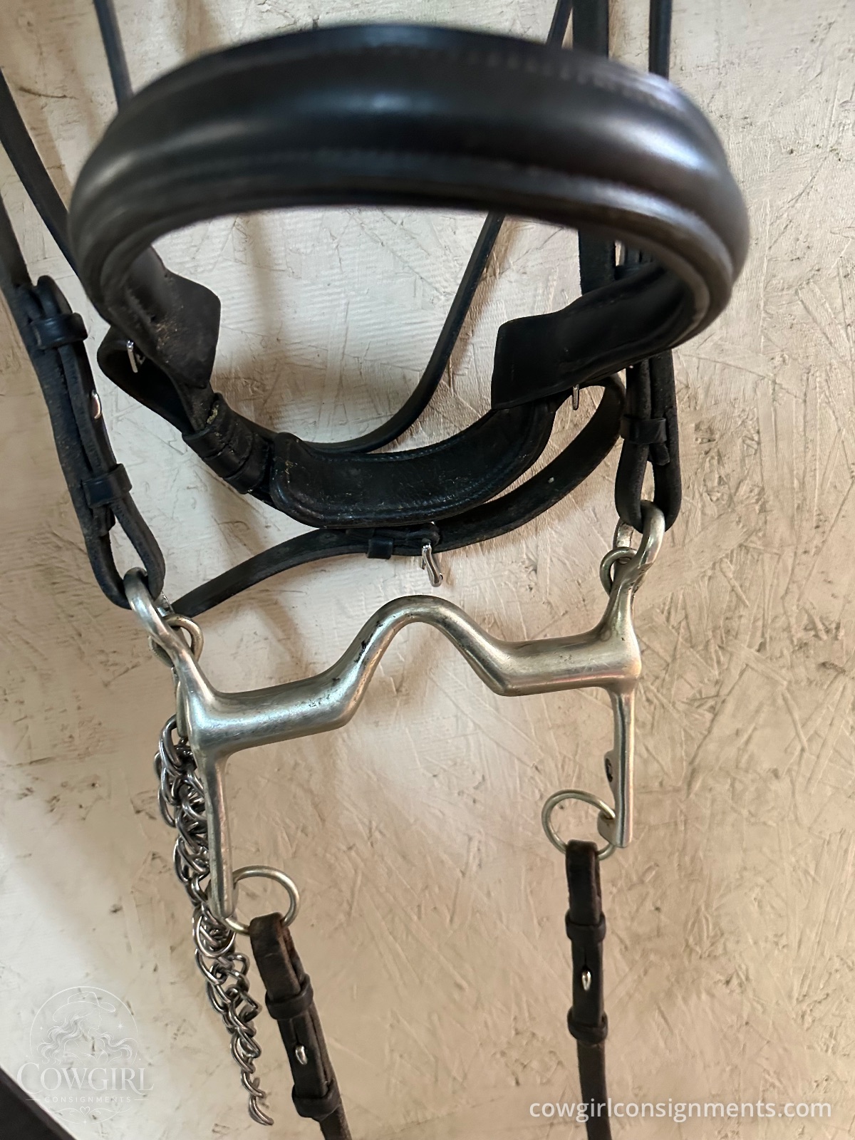 Beautiful Passier Double Bridle With Bits, Reins And Jeweled Browband, photo 10