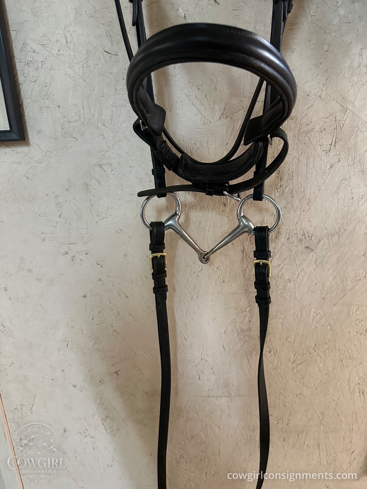 Beautiful Passier Double Bridle With Bits, Reins And Jeweled Browband, photo 11