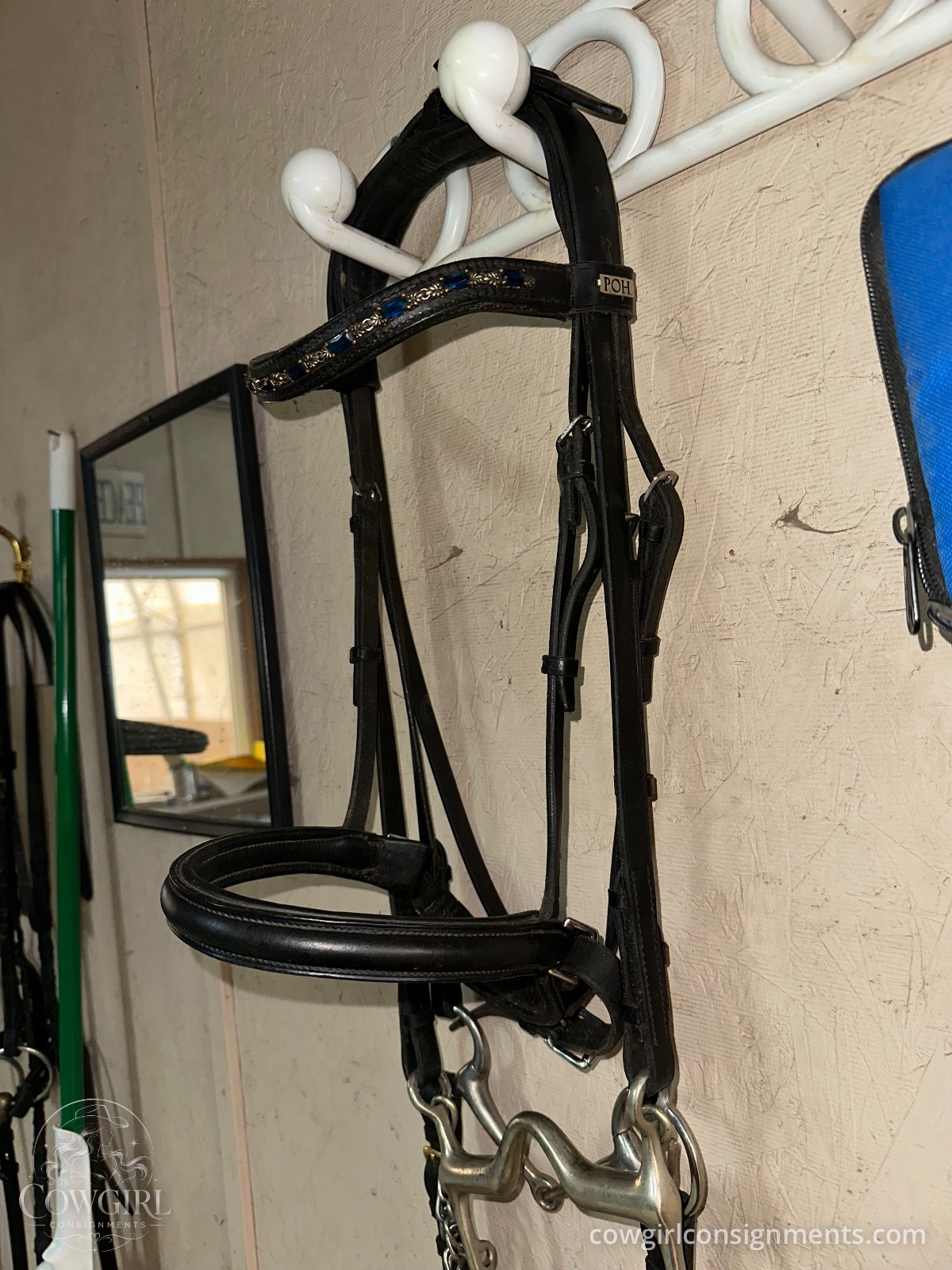 Beautiful Passier Double Bridle With Bits, Reins And Jeweled Browband, photo 9