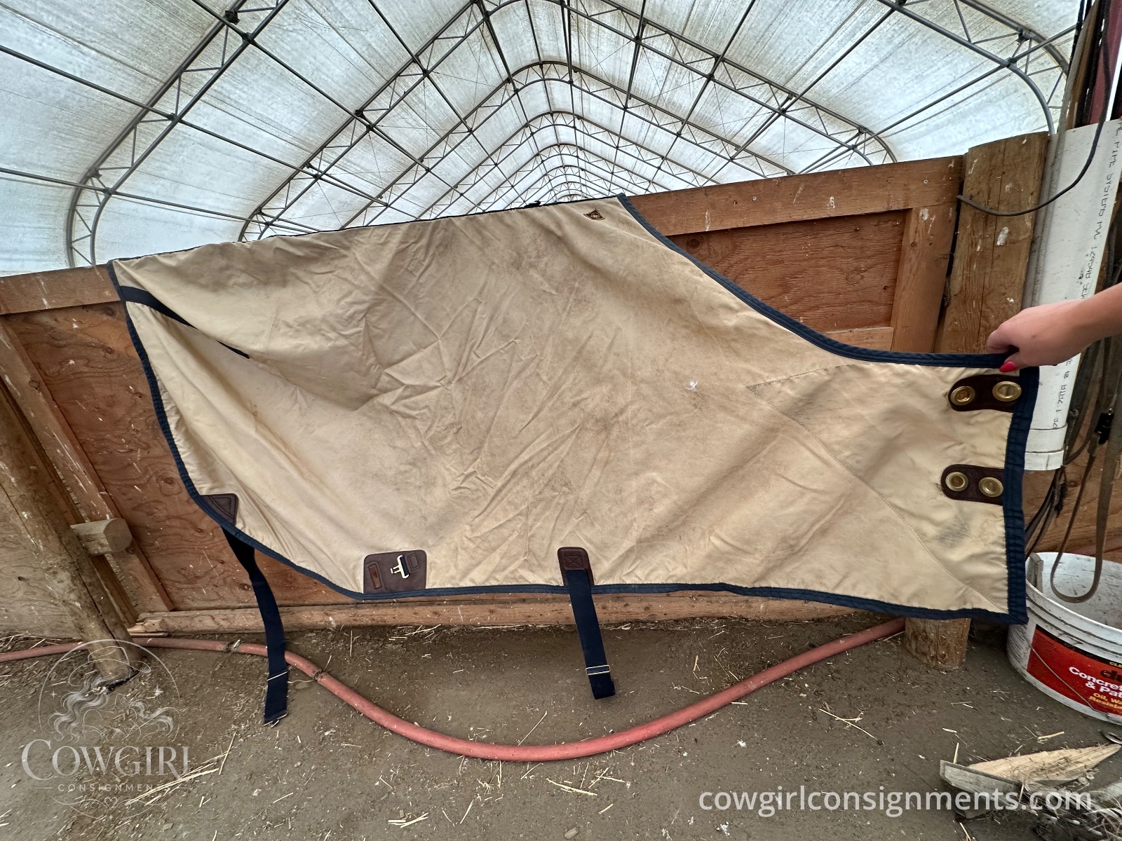 Big D Stable Sheet, Size 80, Tan/Navy