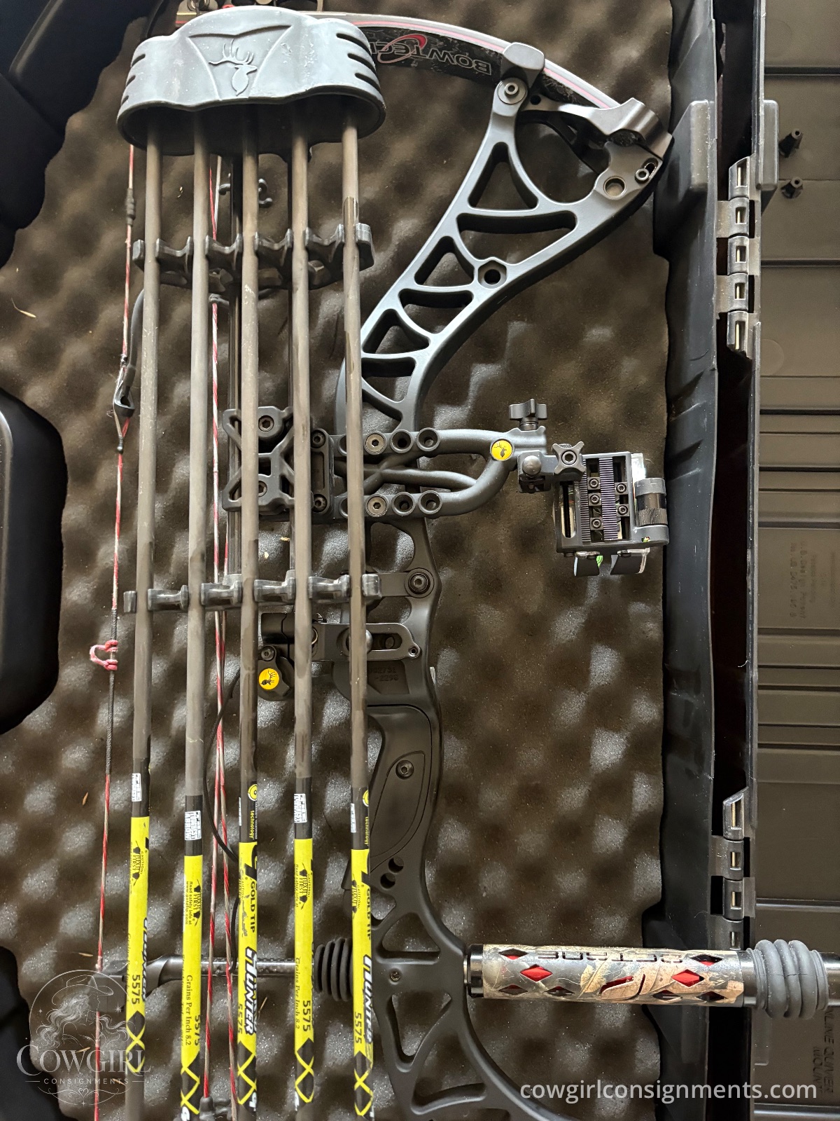 Bowtech Destroyer 350 Compound Bow Package, photo 4