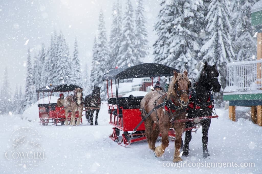 Heavy Duty Horse-Drawn Sleigh With Hydraulic Wheels, photo 2