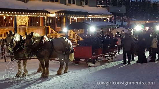 Heavy Duty Horse-Drawn Sleigh With Hydraulic Wheels, photo 5