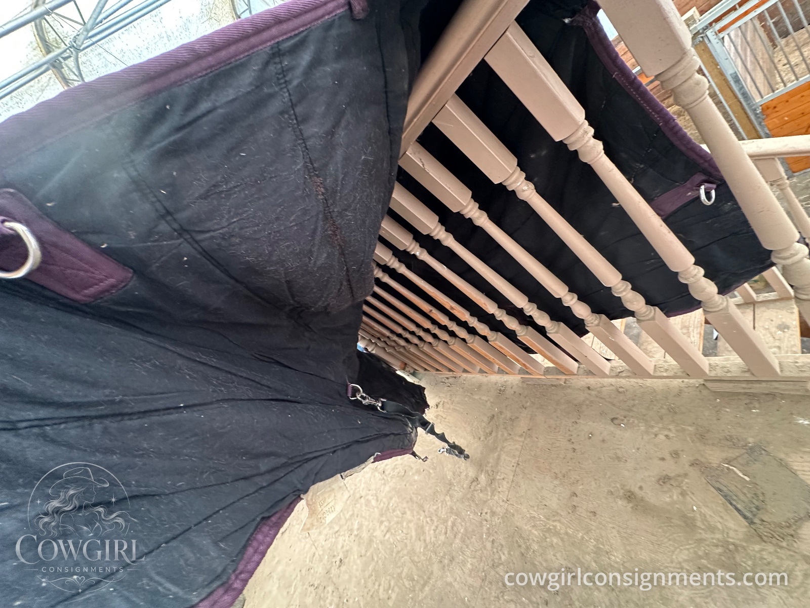 Horse Blanket, 76", photo 5