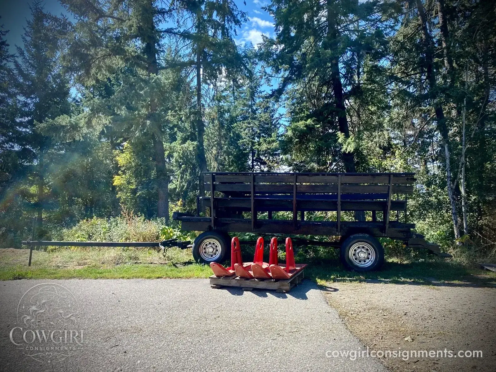Horse Drawn Wagon With Sleigh Conversion And Wheelchair Ramp, photo 17