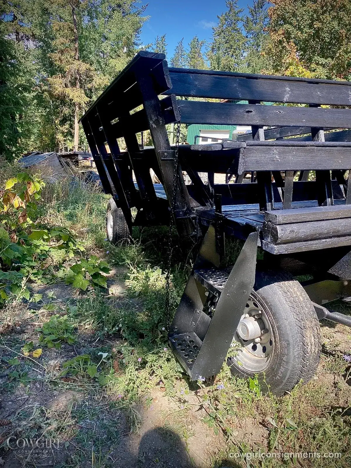 Horse Drawn Wagon With Sleigh Conversion And Wheelchair Ramp, photo 7