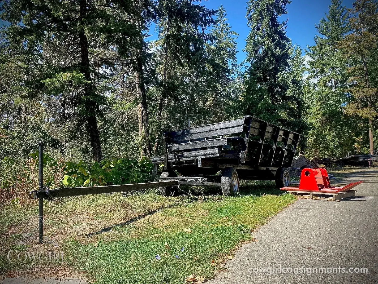 Horse Drawn Wagon With Sleigh Conversion And Wheelchair Ramp, photo 8