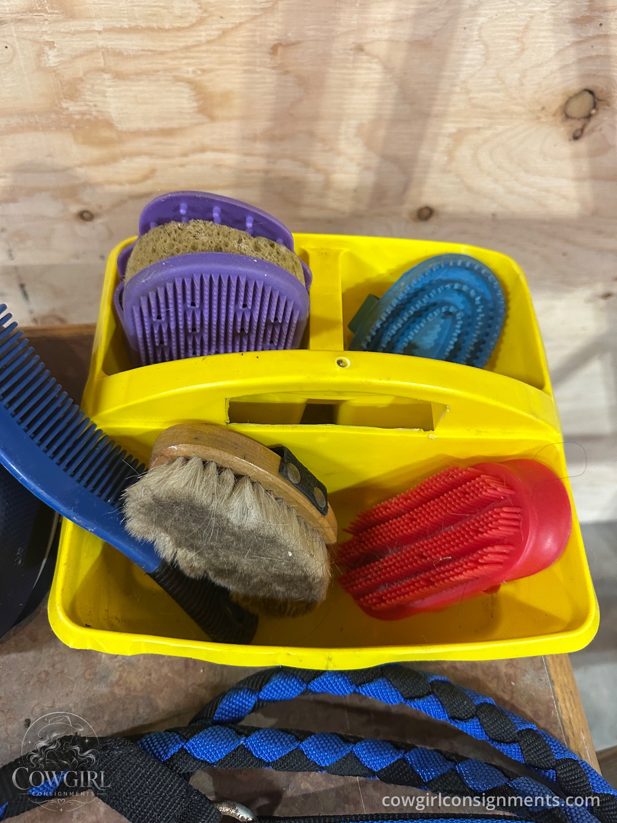 Kids' Starter Bundle: The “I Got A New Horse” Package, photo 2