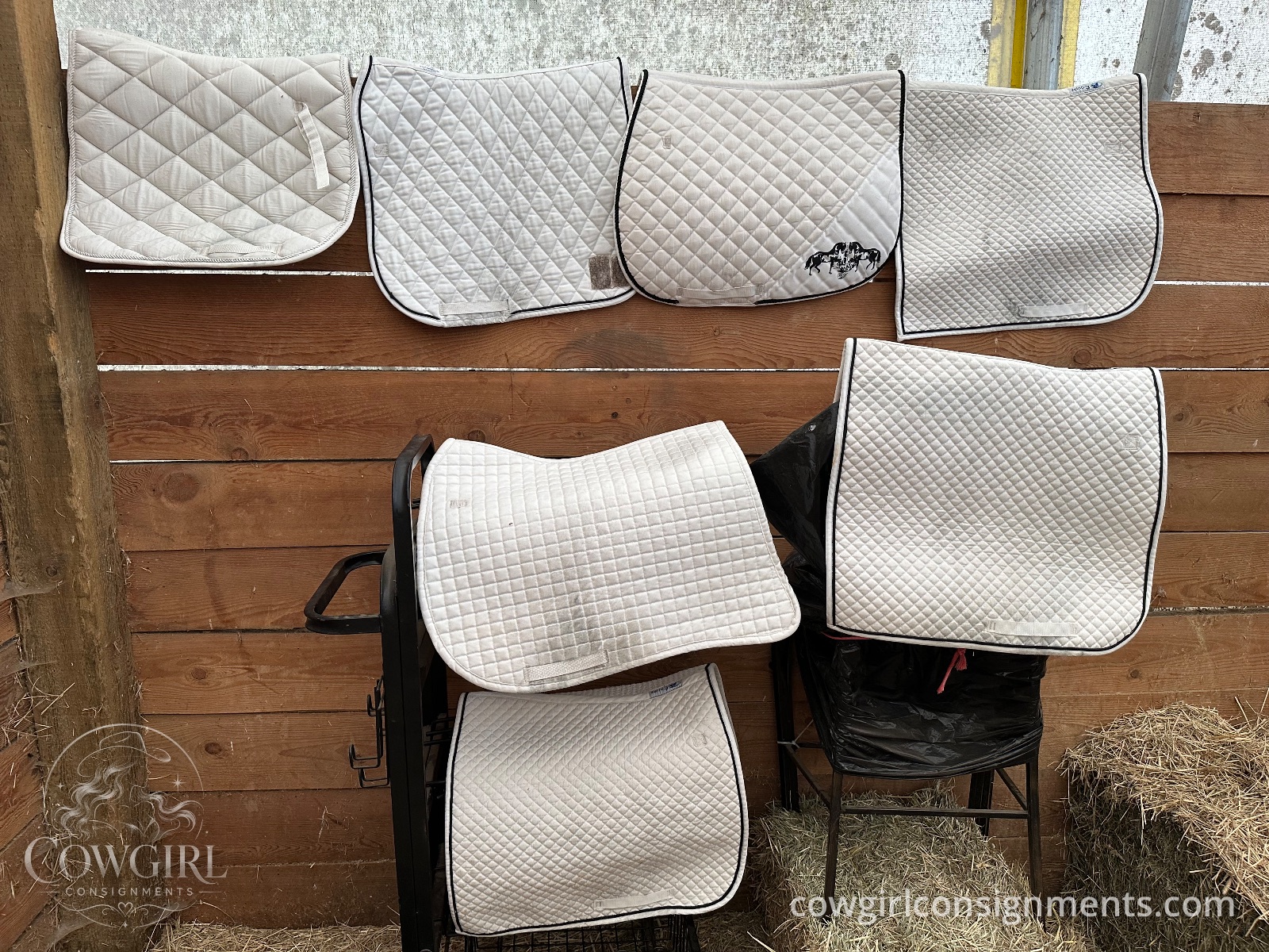 Lot Of 7 White English Show Pads, With Storage Bag