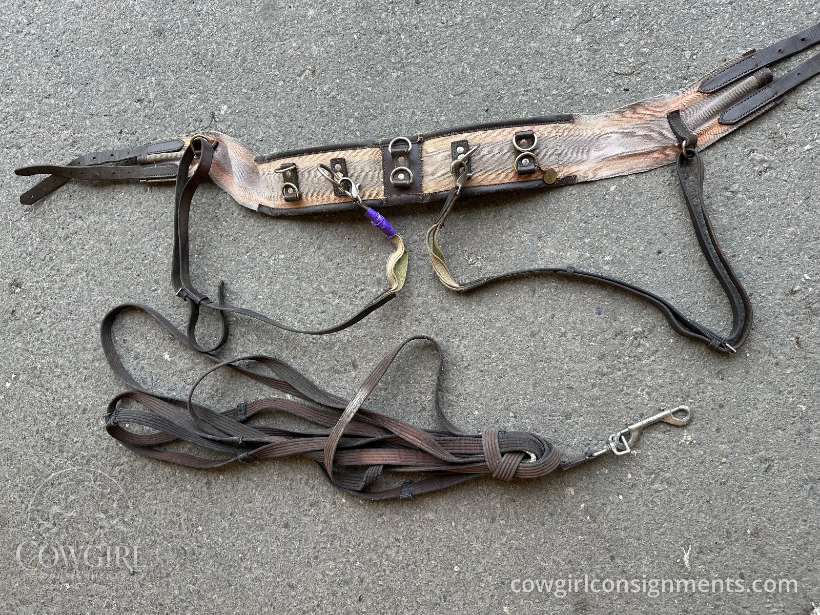 Lunging Surcingle Set With Side Reins And Lunge Line