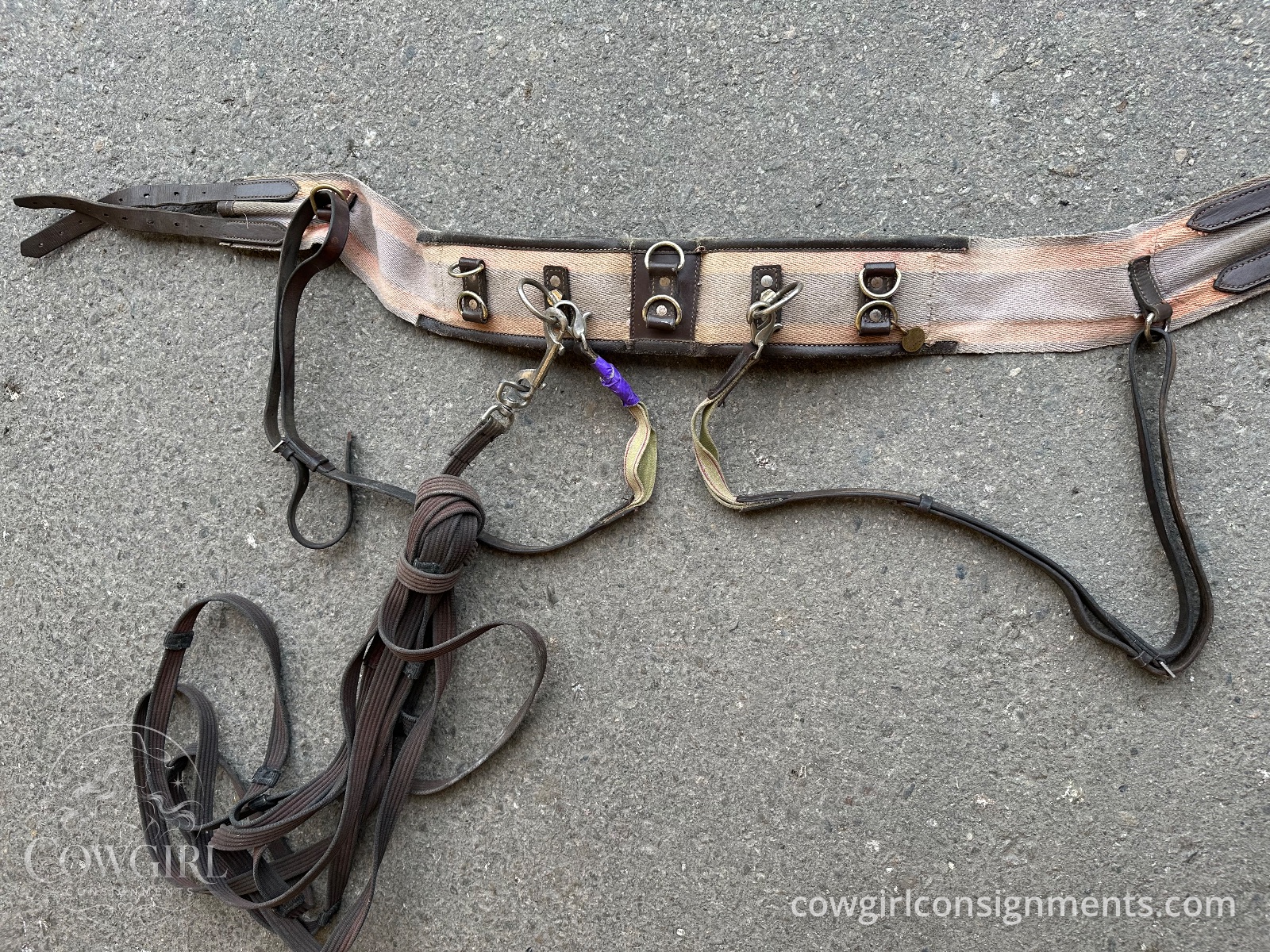 Lunging Surcingle Set With Side Reins And Lunge Line, photo 2