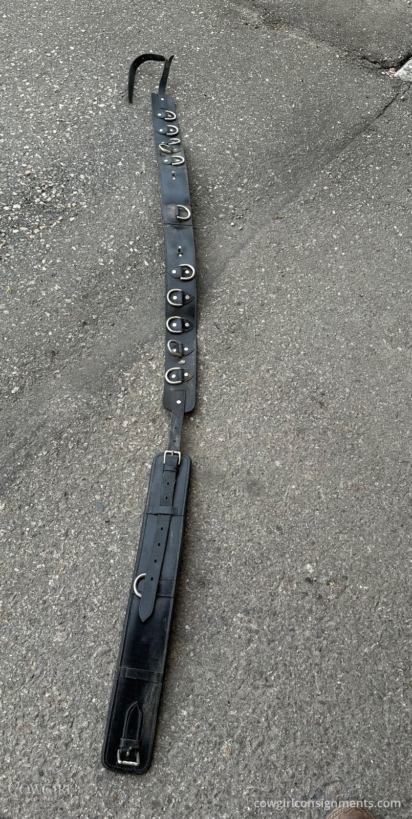 Multi-Ring Leather Surcingle