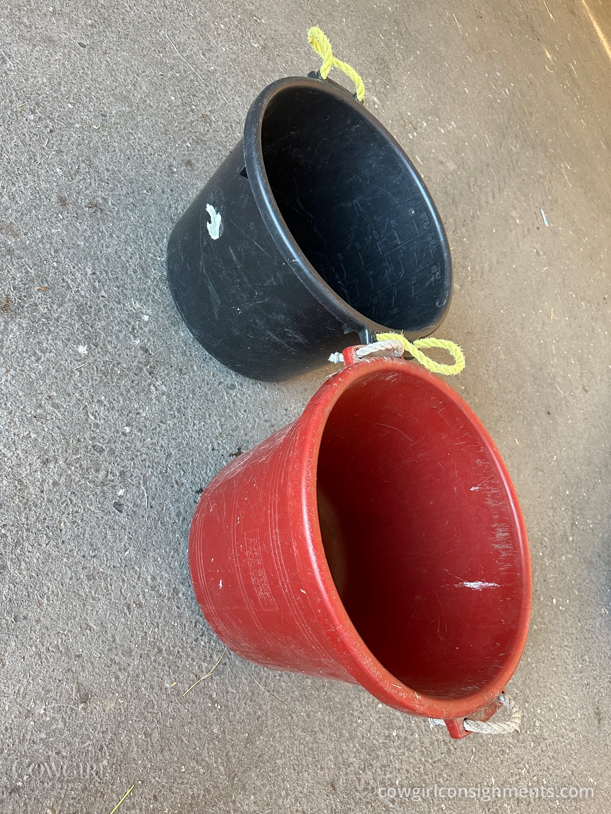 Pair Of Buckets With Rope Handles, 16 Gallon, photo 2