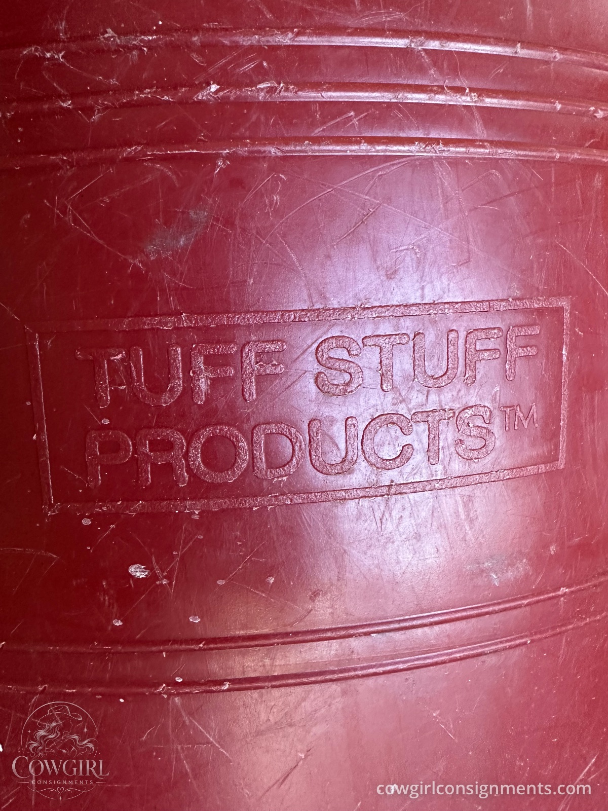 Pair Of Buckets With Rope Handles, 16 Gallon, photo 3