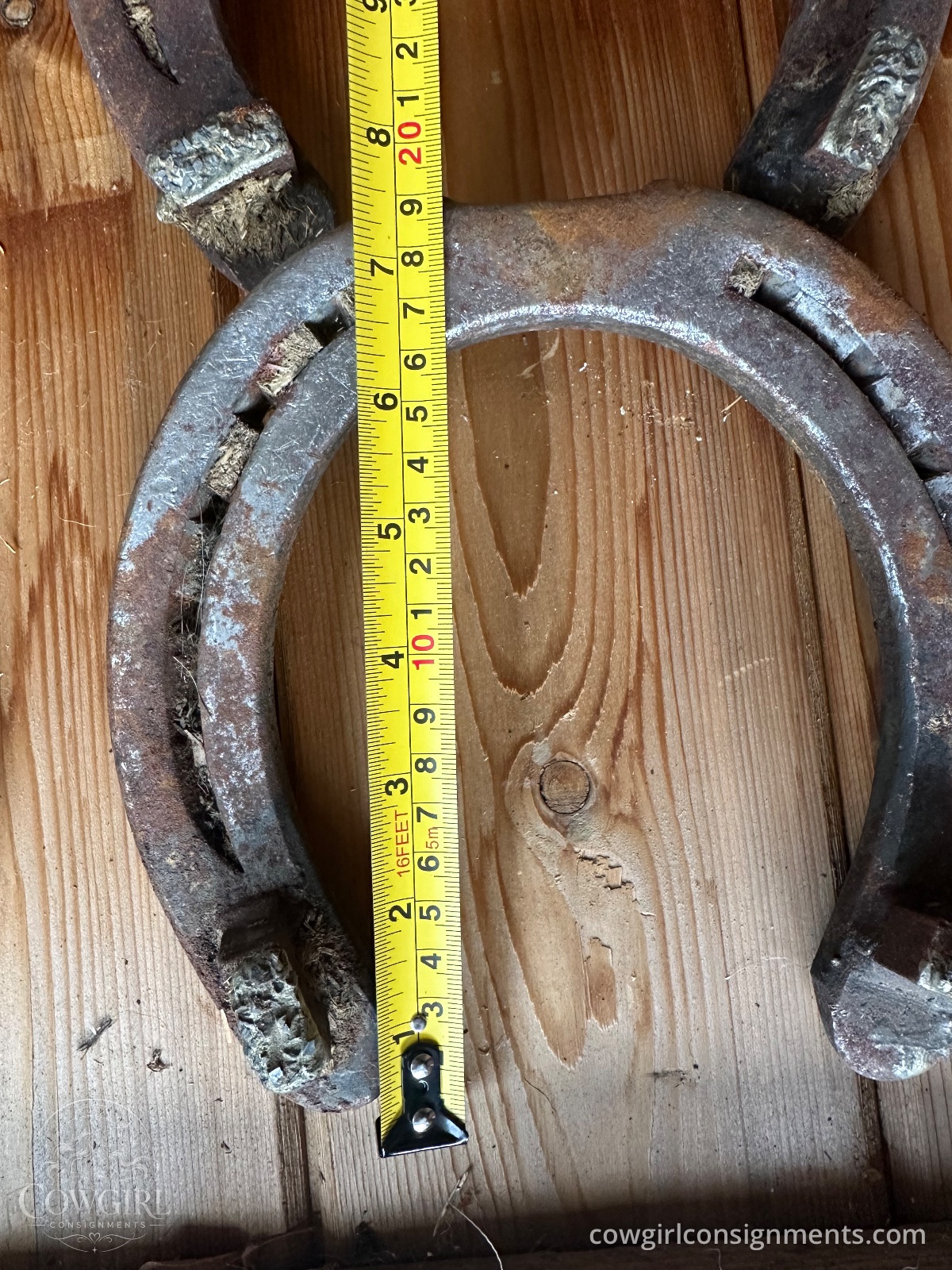 Set Of 4 Draft Horse Winter Shoes With Borium, 7.5" X 7.5", photo 5