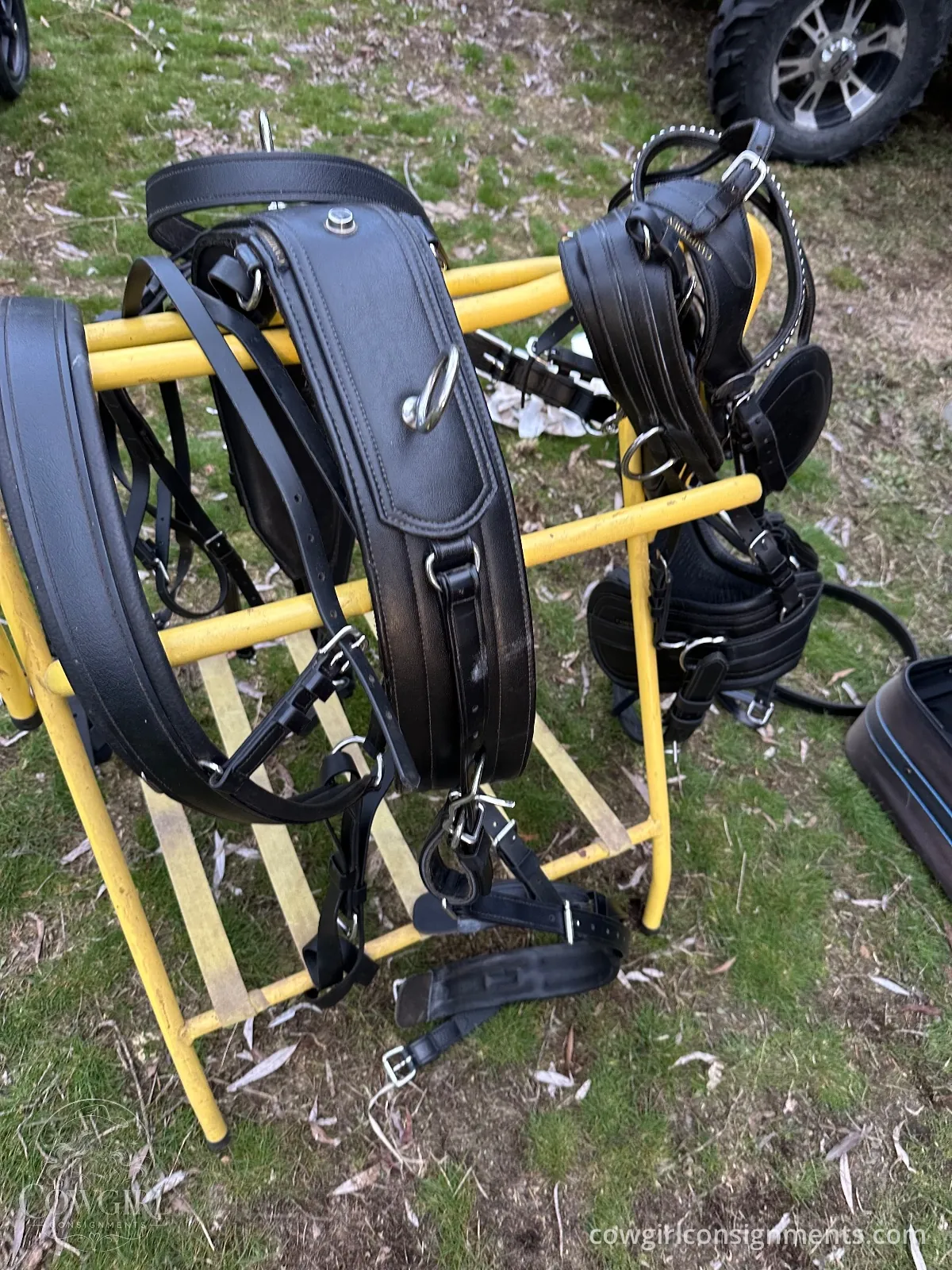 Single Driving Harness, Cob Size, photo 2
