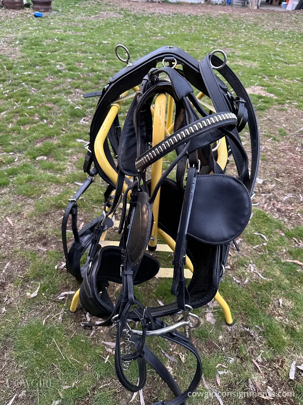 Single Driving Harness, Cob Size, photo 3